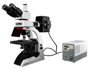 Fluorescence Biological Microscope MFBM-2A - MFBM-2A