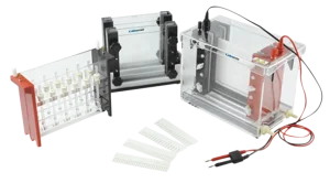 2D Gel Electrophoresis Unit MGEU-1A - MGEU-1A