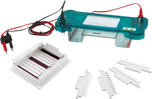 Horizontal Electrophoresis Unit MHEU-2B - MHEU-2B
