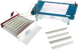 Horizontal Electrophoresis Unit MHEU-2G - MHEU-2G