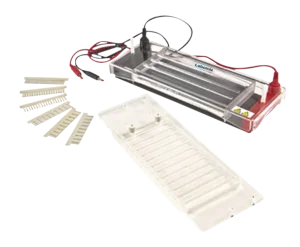 Rapid Electrophoresis Unit MREU-1A - MREU-1A