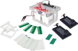Vertical Electrophoresis Unit MVEU-2B - MVEU-2B