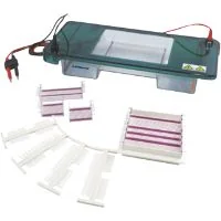 Horizontal Electrophoresis Unit MHEU-2D MHEU-2D